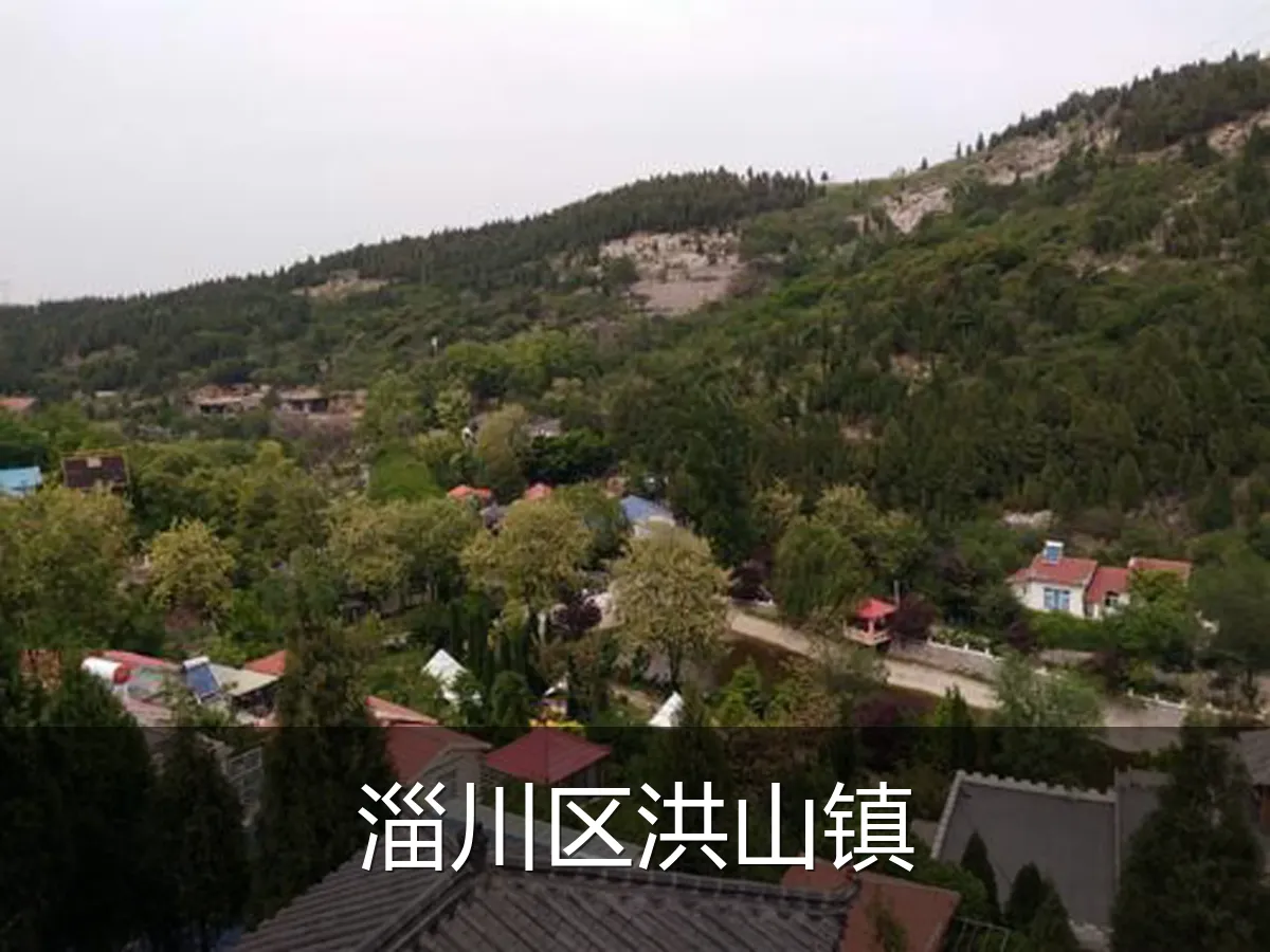 淄川区洪山镇